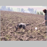 auch Queen muss dran....JPG